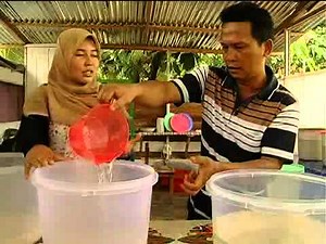 Pembuatan Virgin Coconut Oil