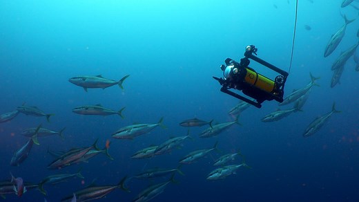 Diving   Life Support | Commercial & Personal Diving Equipment | Unique Group