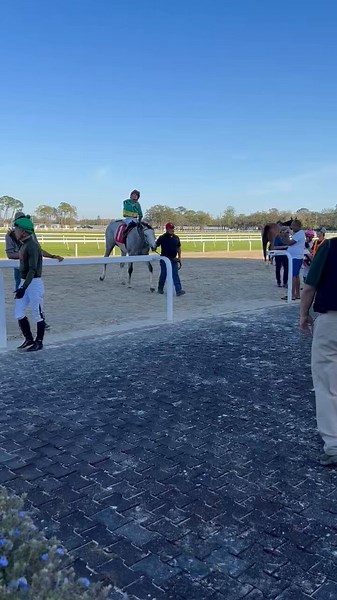 ⚫️🔴SIGNATOR entering the winners' circle with @JockeySMarin aboard after a victorious turf debut on Sunday at Tampa.@ClaudeMcGaughey @WestPointTbred @WoodfordRacing @Gainesway #PhippsStable @RealKenLangone @LanesEndFarms @EddieWoods2yos