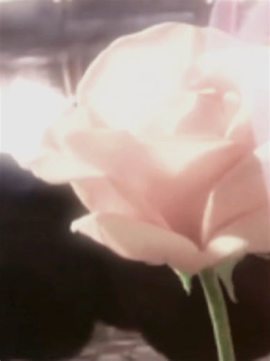 вселенная бесконечна? — noize mc. #fyp #foryou #foryoupage #trending #viral #followme #tiktok #lyrics #song #music #музыка #песня #relatable #repost #comment #музыкадлядуши #музыкадлявидео #цветы #красота #любовь #lovers #couples #soulmates #aesthetic #aestheticedit #noizemcfan #noizemc #нойзмс #вселеннаябесконечна