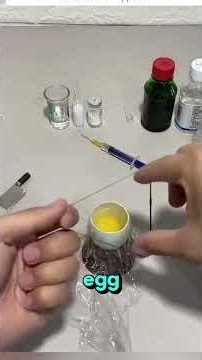 This Girl Saved a Broken Duck Egg… Then Something Incredible Happened