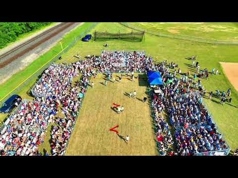 The 2026 Vergas Looney Days Wiener Dog Races