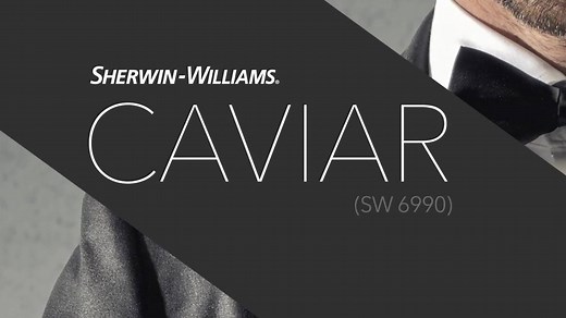 May’s Color of the Month, Caviar SW 6990, is so glamorous, you may want to ask for it shaken, not stirred. | Sherwin-Williams