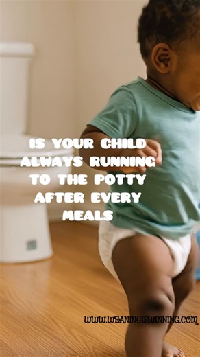 Oluwadamilola Bello on Instagram: "My baby poos after every meal. I thought it was just fast digestion until I realised it wasn’t.” You feed your child, and before you can even sit down, they’ve done a poo. Every single meal breakfast, lunch, dinner ends in stooling. Some days it’s watery. Some days it smells sour. Sometimes it’s full of undigested food. Everyone says “don’t worry, it’s just how some kids are.” But deep down, you know something is not right. Here’s what’s actually happening in t