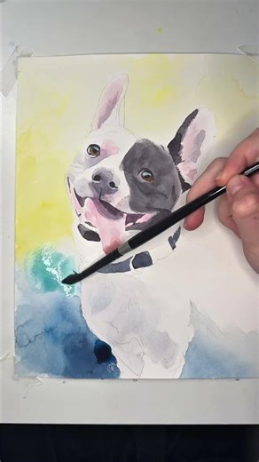 How to paint a French bulldog #petportraitartist #frenchbulldog #watercolorpainting #artreveal