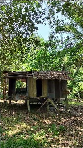 Que faire à Koh Samui ? Randonnée