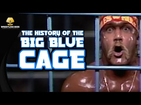 The History of WWF's Big Blue Steel Cage