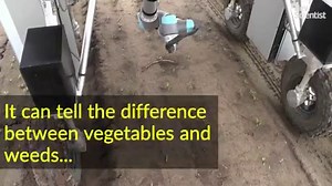 New Scientist on Reels