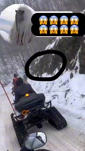 Opium bird found footage #dumugly #erosionbird #luhcalmfit #opiumbird