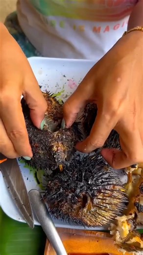 Eating Japan’s Deadliest Delicacy: The Art of Fugu (Pufferfish)