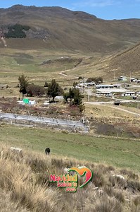 11K views · 117 reactions | A donde llegaremos este año? ❤️NAVIDAD...