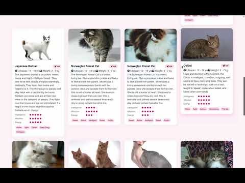 cs310 final project - animal rescue