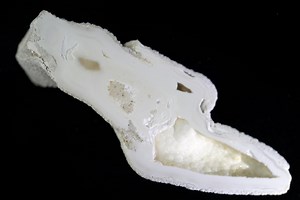 Agatized Coral Geode Specimen Druzy Crystals Cut & Polished Half Uv-reactive Fossil - Etsy