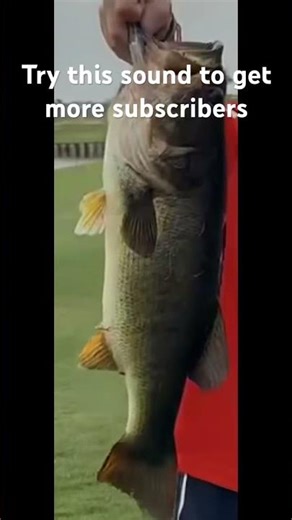 How to get more subs