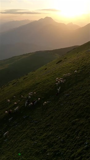 📖 Adam Ramdin shares how God can use the things we call