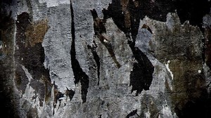 Download Grunge Wall Texture Loop for free