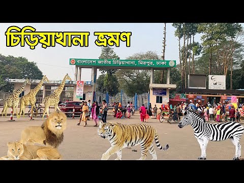 বাংলাদেশ জাতীয় চিড়িয়াখানা, মিরপুর, ঢাকা। Bangladesh National Zoo, Mirpur, Dhaka | Flying Bird |