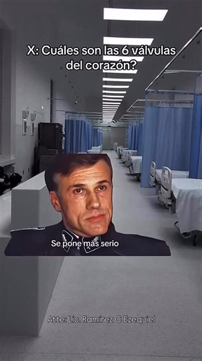 Ramirez C Ezequiel on Instagram: "Las primeras válvulas que se nos vienen a la cabeza son: 🫀VALVULA TRICUSPIDE 🫀VALVULA BICUSPIDE / MITRAL 🫀VALVULAS SEMILUNARES/SIGMOIDEAS AORTICAS 🫀VALVULAS SEMILUNARES/ SIGMOIDEAS PULMONARES No debemos olvidar que en relación con la AURICULA DERECHA, podemos observar la llegada de la vena cava superior, cava inferior y seno coronario, donde estas ultimas dos presentan las siguientes válvulas: 🫀VENA CAVA INFERIOR: válvula de EUSTAQUIO 🫀SENO VENOSO CORONARI