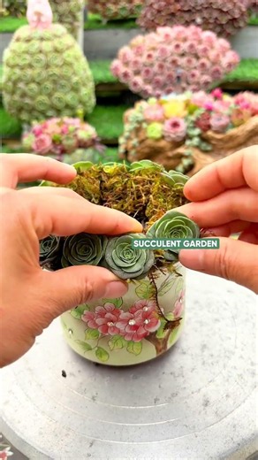 Cute & Creative Succulent Decor Ideas for Your Home ✨