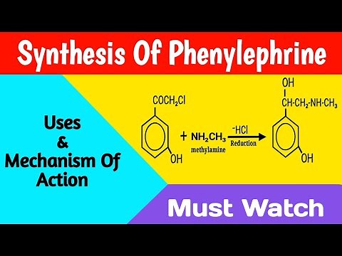 Synthesis Of Phenylephrine || Uses And Mechanism Of Phenylephrine || Medicinal Chemistry