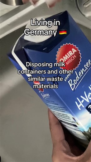 Germany's Garbage Disposal System: A Comprehensive Guide