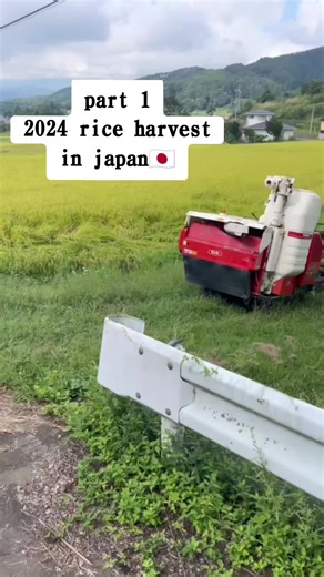 2024 Rice Harvest in Japan 🇯🇵 | Rice Farming & Harvesting