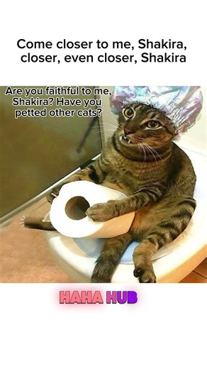 “Cat Interrogates Shakira on the Toilet 😂” #lol #comedy #humor