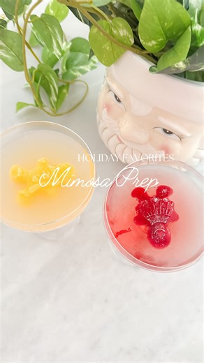 Arin Jura | Arin Solange at Home on Instagram: "Prep ahead for holiday hosting with these cute mimosa cubes! Freeze any juice + edible glitter in the silicone mold then pop it in your Champagne to keep it cold and make an instant mimosa! 🍾 Comment MIMOSA for the links everything in this post Or you can find them all linked in my bio under Kitchen favorites ’ on my Amazon Storefront #holidayhack #holidayhosting #holidayhostinghacks #mimosa"