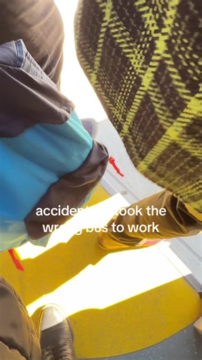 When Travel Goes Wrong: My Bus Mishap Story