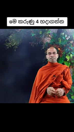 Exploring the Serenity of Monastic Life