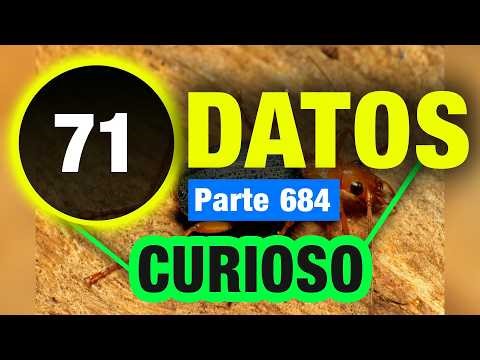 71 Datos Impresionantes Difíciles de Creer