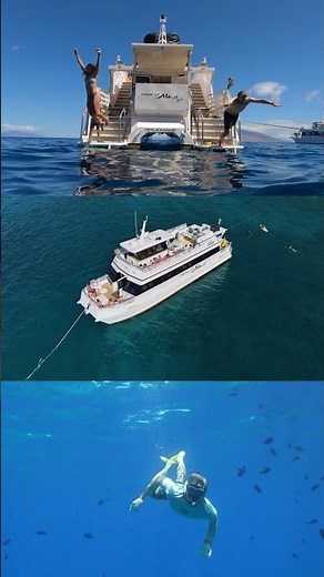 Cruise in luxury to Maui's best snorkel spots aboard 'Elua! 🤿