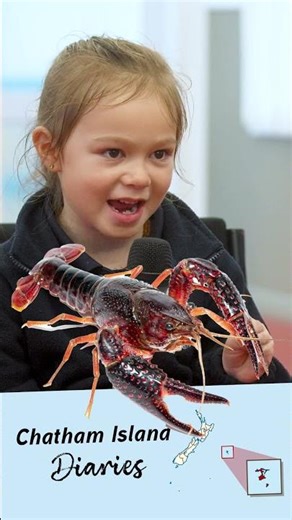 Chatham Islands Diaries