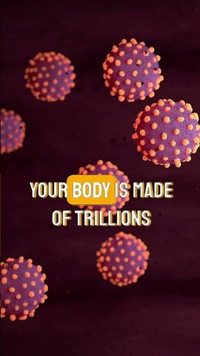 Respiratory System – How Your Lungs Keep You Alive