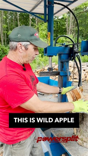 POWERSPLIT on Instagram: "Ever split wild apple? 🍎🪵 If you have you know its stringy, twisted, and knotty stuff. Watch as the Powersplit cuts right through. Powersplit.com 1-888-414-2261 - - - - - - - - - #powersplitinternational #woodproccessor #Powersplit #woodprocessors #firewood #bundledwood #wood #campwood #splitter #splitters #treecare #logging #qualitywood #log #logger #woodsplitter #verticalwoodsplitter #verticalsplitter #bbqwood #pizzaovenwood #firewoodsales #woodsplitter #woodsplitte