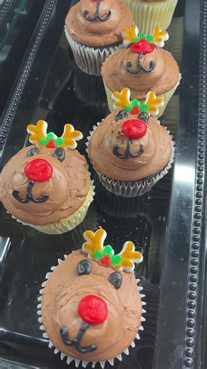 The holidays are even more magical in cupcake form 🎄🎅 which one would you choose? #NationalCupcakeDay | Safeway