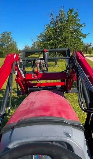 Monster Shrub Removal | Tractor & Roll-Off Dumpster Clean Up #shrubremoval