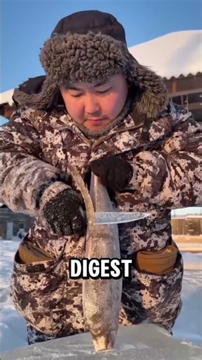 Why do people in the Arctic frozen raw fish? #facts #intresting #intrestingfacts #fish