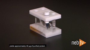 How do you purify His-tagged protein? What's the binding capacity of Ni-NTA magnetic beads? It can vary, based on a number of factors. Learn more about our beads at https://nebiolabs.com/2PwaiZV | New England Biolabs | Facebook