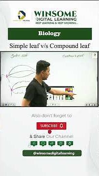 Simple Leaf and Compound Leaf | #biology #plantanatomy #neet #biologyshorts #science