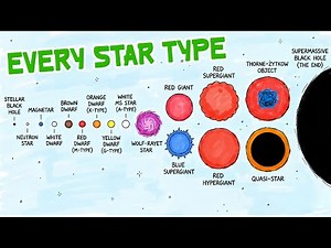 Every Star Type in the Universe Compared in Size
