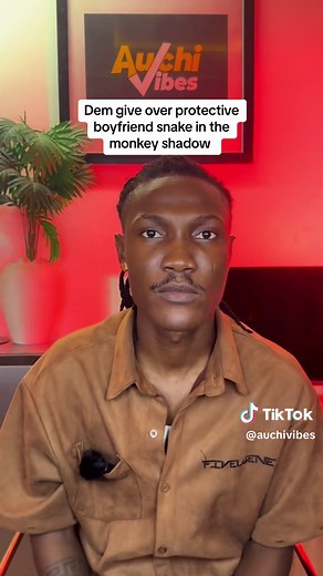 Snake in the Monkey Shadow Style: Exploring Overprotective Boyfriends