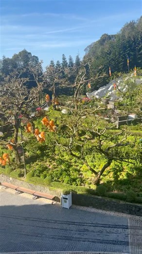 巴拿山 住宿 ba na hill golden bride #goldenbridge #banahills #vietnam #danang