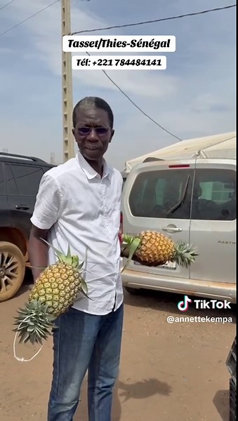 🍍Kilo à 800frs, Panier de 13.5kg - 15 kg à 10000. Un litre de jus pressé à 3000frs Tél : 784484141 ##dakar #agriculture #Ananas #pourtoi