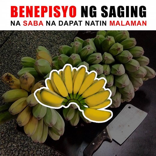 Narito ang mga naitutulong ng Saging na Saba na Dapat natin malaman lahat 😍🤤 Ating alamin 👇 | Organic Living