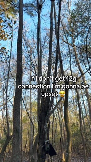 Best 4G Trail Cameras and Antennas for Outdoor Use