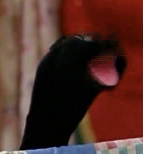 All Week Of Barney's Musical Scrapbook (Screener) (All Week Version) Part 24 is closer S5 E19