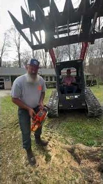 how to cut down an old tree#automobile #woodworking #chainsaw #asmr