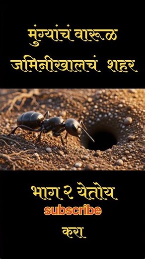 Inside the Ant Hill 🐜 | आमचं वारूळ – आतलं जग😱 | Shorts