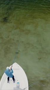 Premium Fly Line, Backing, Leader & Tippet! Cortland Line Has You Covered for Your Fly Fishing Adventures ✔️ | Cortland Line